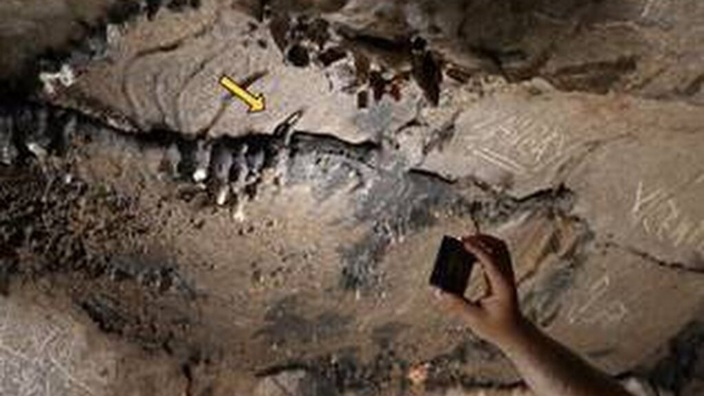Paroi et inscriptions documentées dans Cova Dones