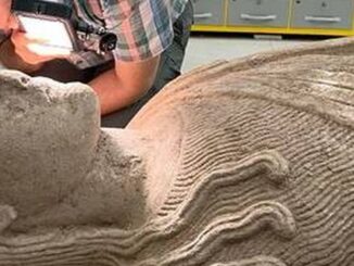 Détail réel de la statue monumentale de Sardes examinée par un spécialiste