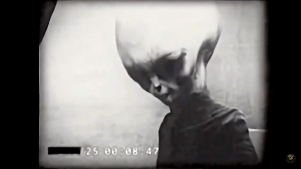 Capture extraite de la vidéo Skinny Bob fournie pour l’enquête, vue de profil de la créature supposée