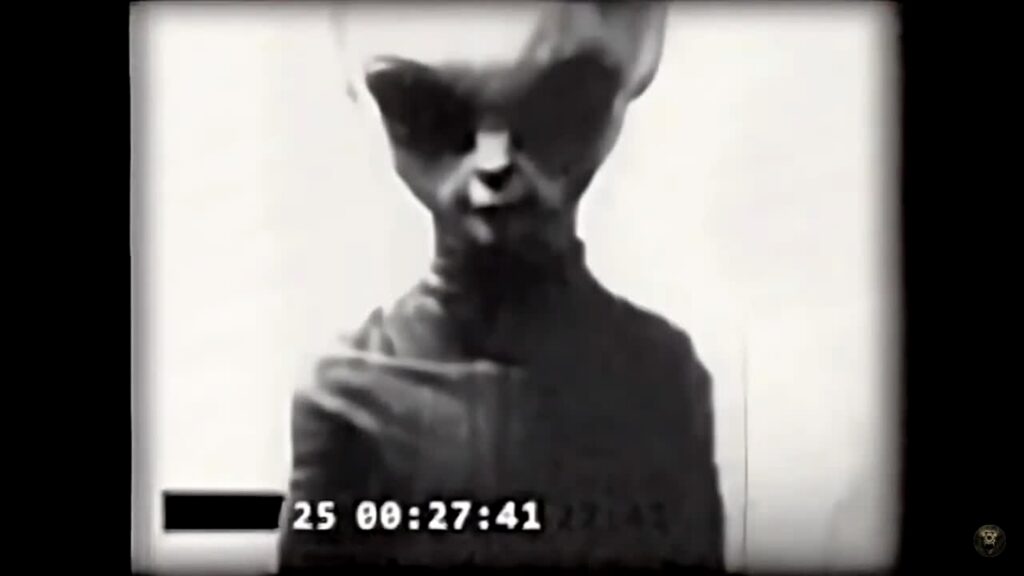 Capture extraite de la vidéo Skinny Bob montrant le visage de face de la créature supposée