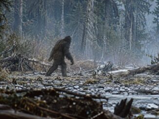 Silhouette massive de type Bigfoot marchant dans une forêt brumeuse près d’un ruisseau