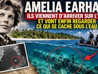 Amelia Earhart, Nikumaroro, équipe d’expédition et objet immergé dans le lagon
